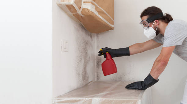Professional Bathroom Mold Removal technician working in Amityville, NY